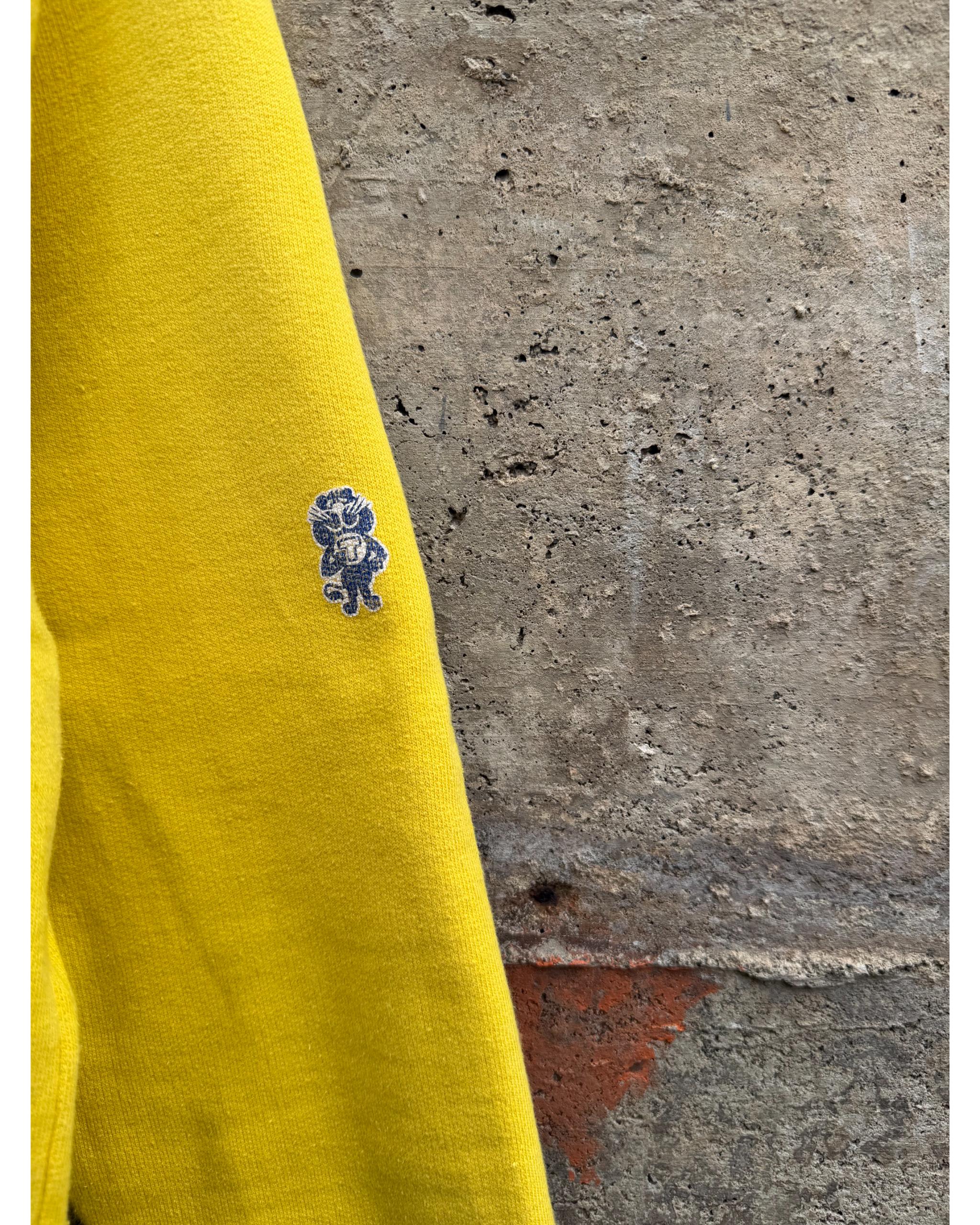 RS 77 KP I / 221 Panzergrenadier swiss military sweater - 1970's