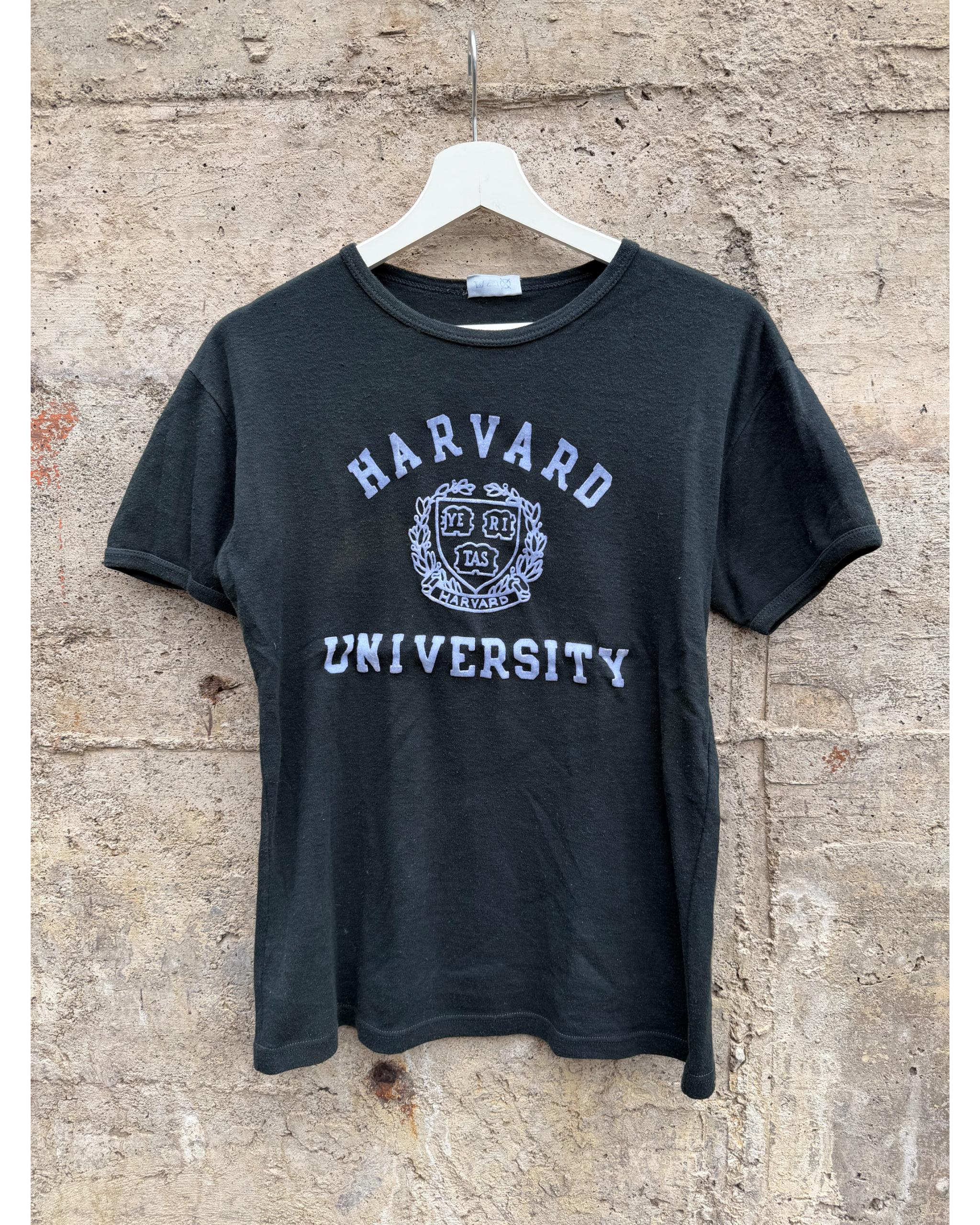 Harvard University college t-shirt - 1980's